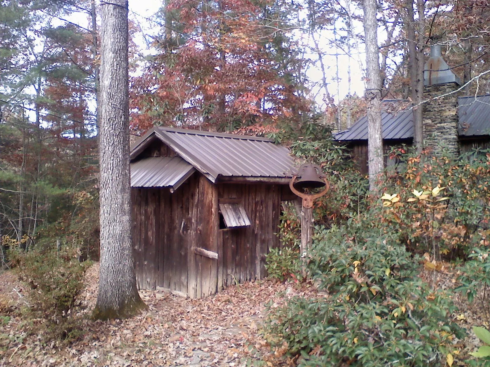 Small metal roof on a rough sawn shed in the woods in Caldwell